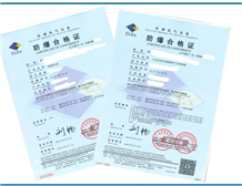 Case of Ex Certificate Certification issued by Clex